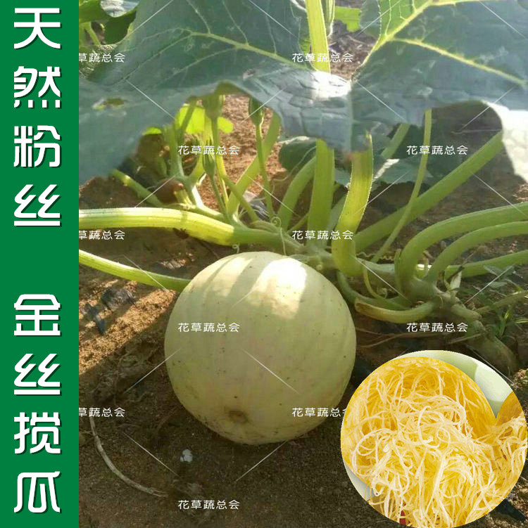 快手粉丝号买卖