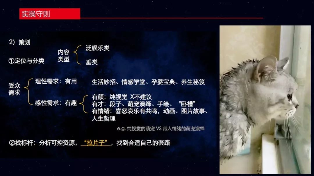 在哪可以购买抖音号