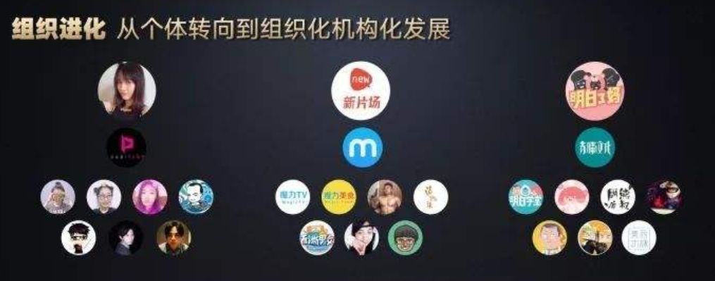 抖音矩阵具体运营方案
