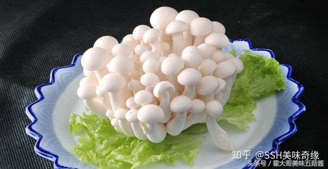 抖音做菜美食号出售