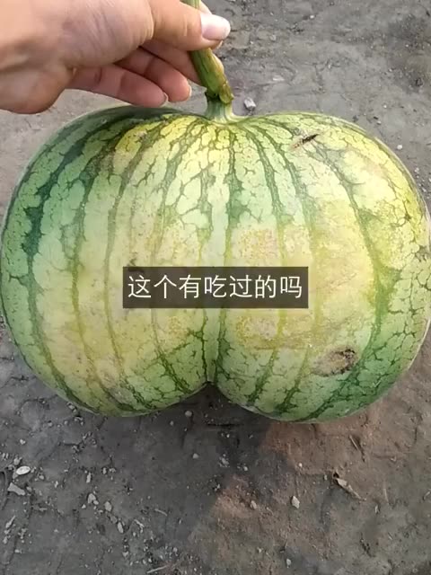 快手热门运营课程