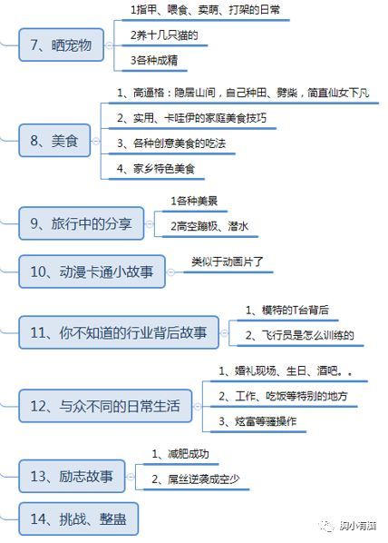 快手抖音网红运营