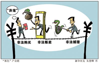 快手买卖宠物