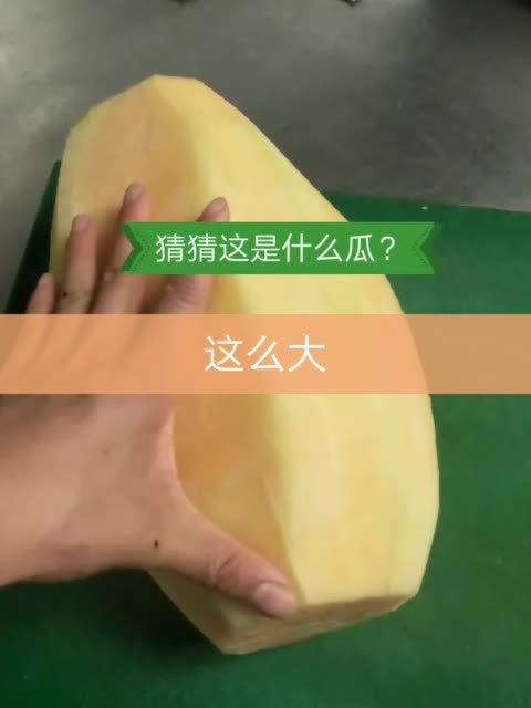 快手运营留言怎么写