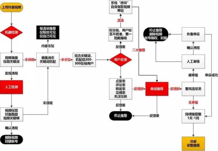 抖音代运营团队分工