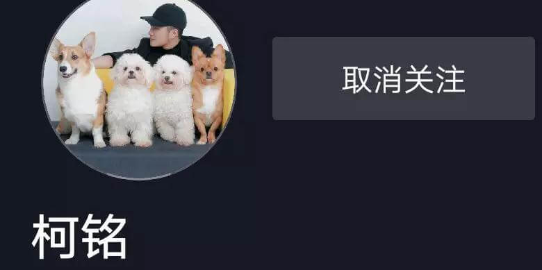 抖音出售宠物图片