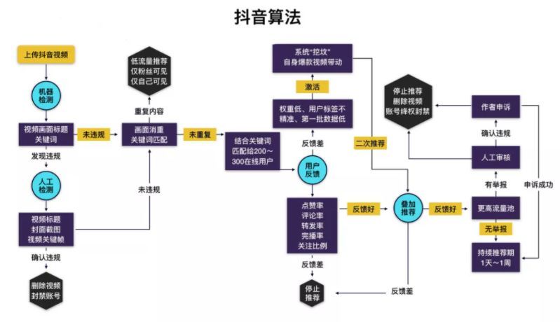 抖音运营创业技巧