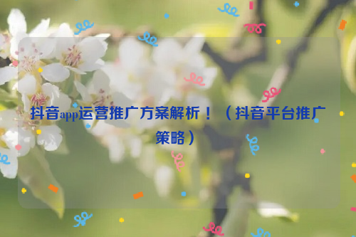 抖音app运营推广方案解析 ！（抖音平台推广策略）