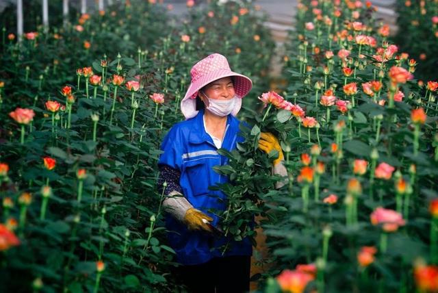 抖音购买的鲜花