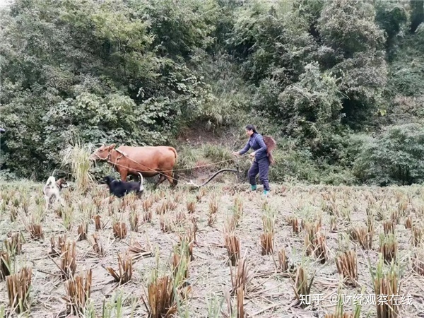 抖音上有民房出售的