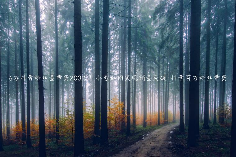 6万抖音粉丝量带货200万！小号如何实现销量突破-抖音百万粉丝带货